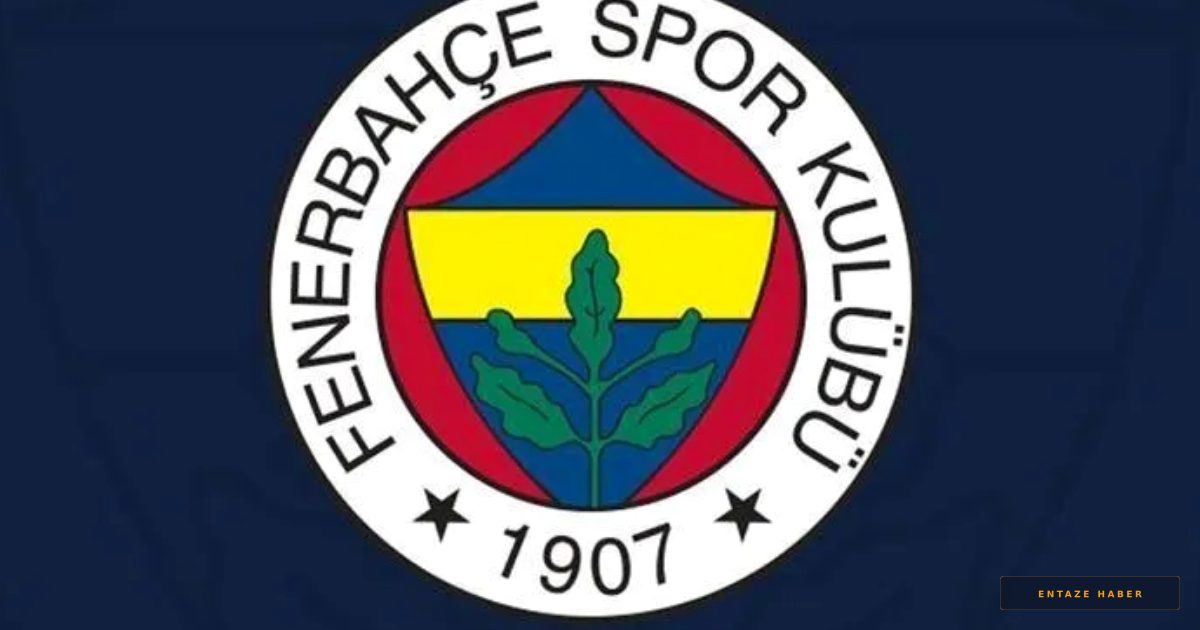 Fenerbahçe'den Ermedin Demirovic Hamlesine Sert ve Beklenmedik Yanıt
