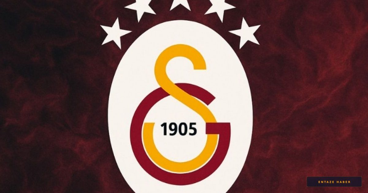 Galatasaray Daikin Devler Ligi'nde: Avrupa'nın Zirvesine Özel Davet
